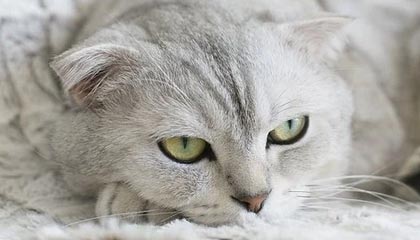 下载乐鱼体育APP-国足控球率与得分关系分析，足球控球率是什么意思