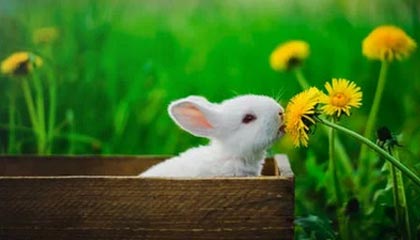 乐鱼电竞在线平台-巴黎客场-力擒皇马，欧冠晋级悬念，欧冠巴黎主场