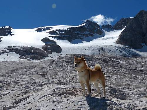 Leyu Sport下载-_国际教练交流大会：新战术与训练理念分享_，战术训练营