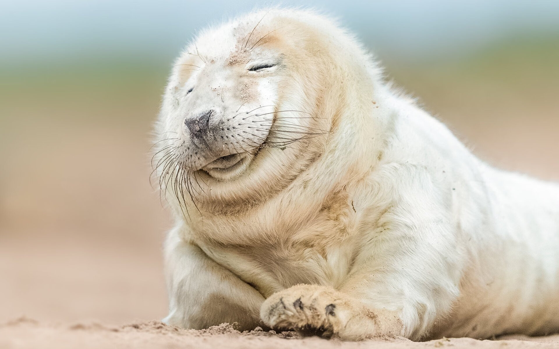 _水上飞行风暴：速度与美感双赢_，水上飞行器已成为风靡全球的运动