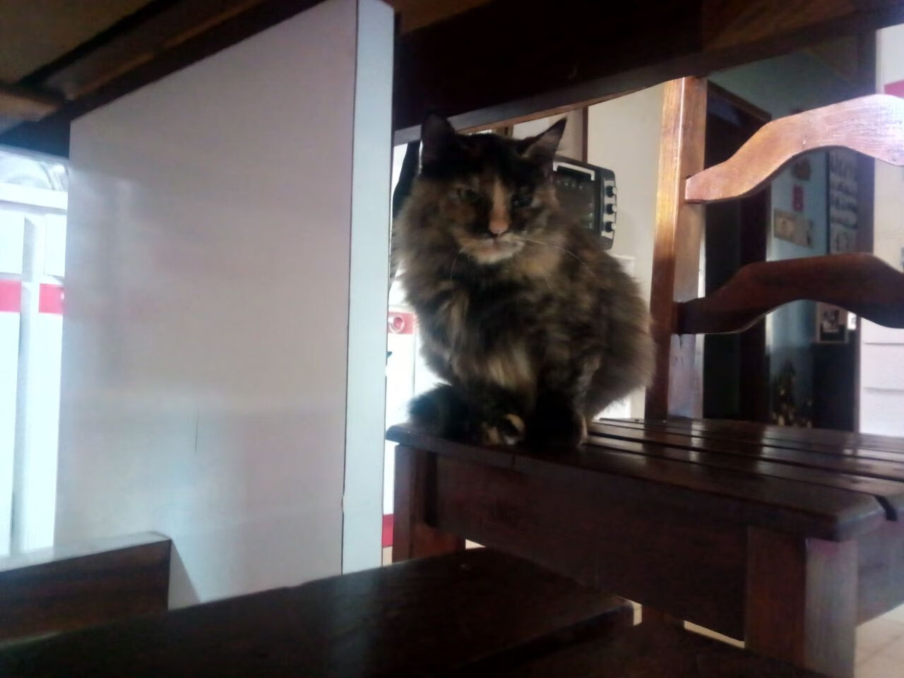 乐鱼电竞-_滑动技术提升：新的训练方法带来突破_，《滑动》