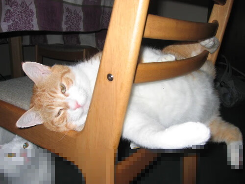 政府推出足球运动推广专项奖励计划,激励基层发展,足球专项资金使用方案