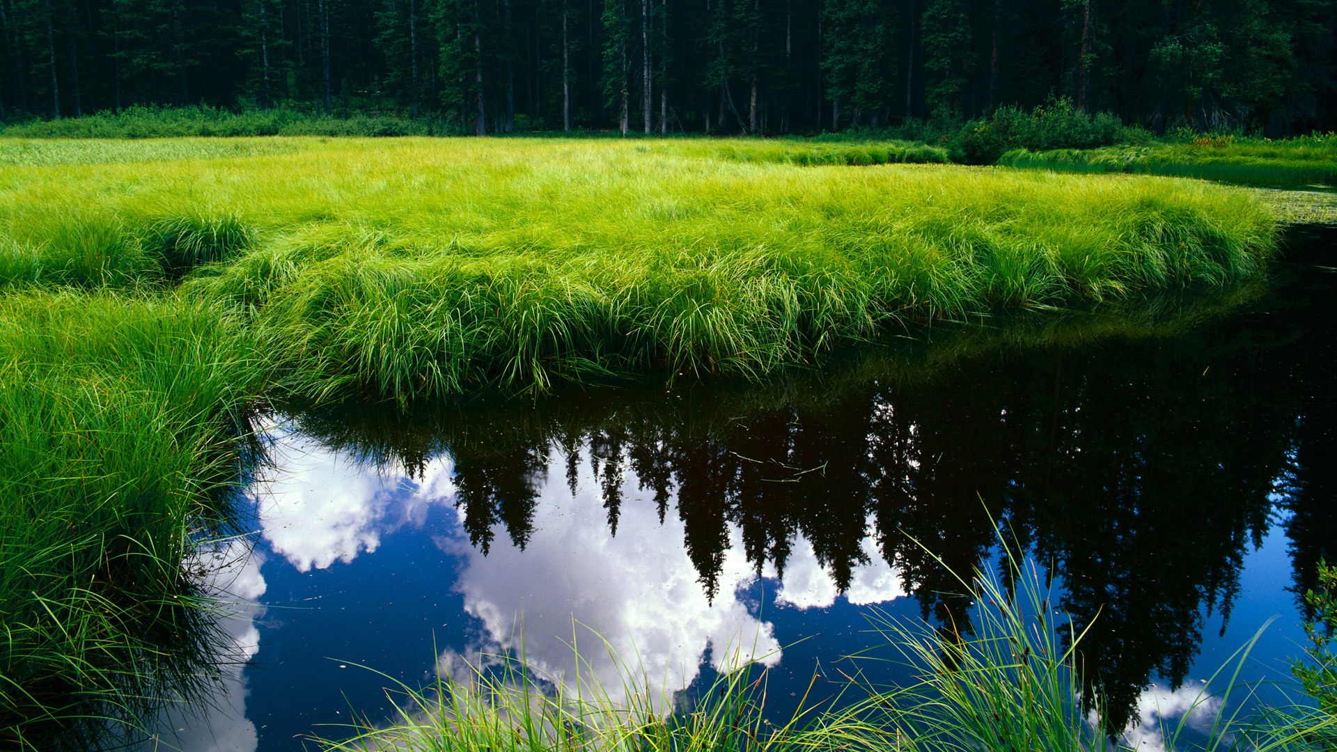 新兴电竞运动项目不断涌现,丰富行业内容,新华网 电竞行业