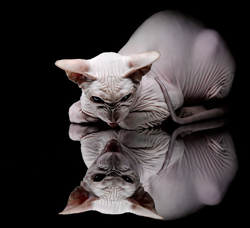 足球场馆专项整治行动确保安全可持续发展,足球场管理工作