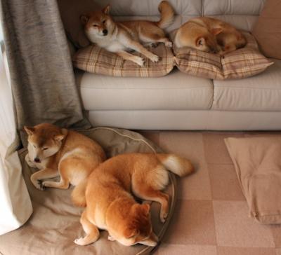 荷兰队踢平挪威,积分榜变动或引人瞩目,荷兰vs挪威结果