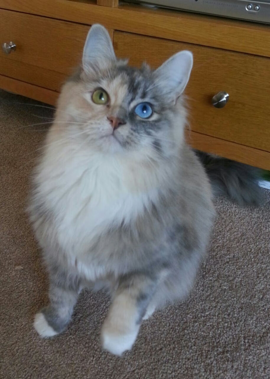 LEYU SPORTS中国官方网站-“萨尔·巴赫击破障碍，带领南非羚羊队击败强敌”