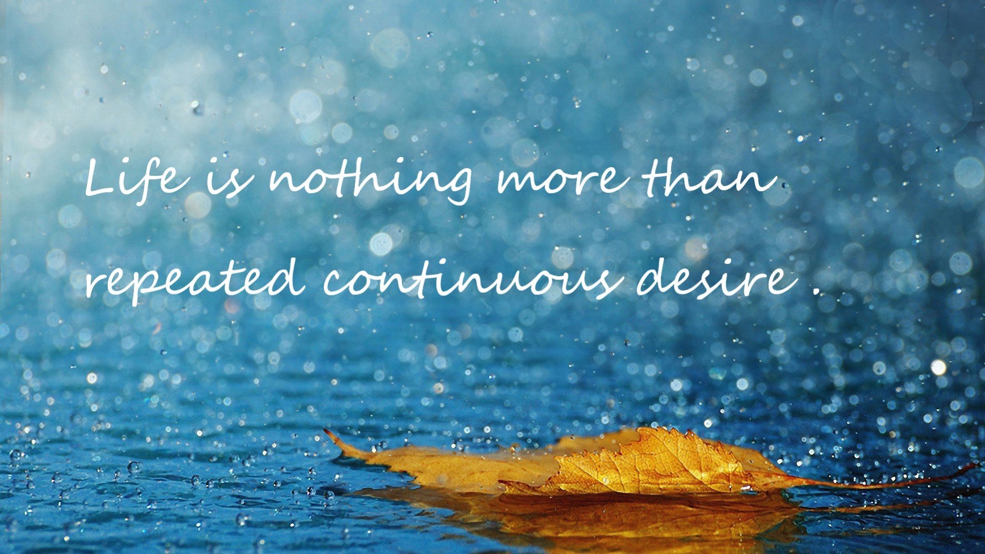 leyu乐鱼体育综合-全国田径联赛新闻中心上线赛事实时数据更新系统，全国田径比赛2021