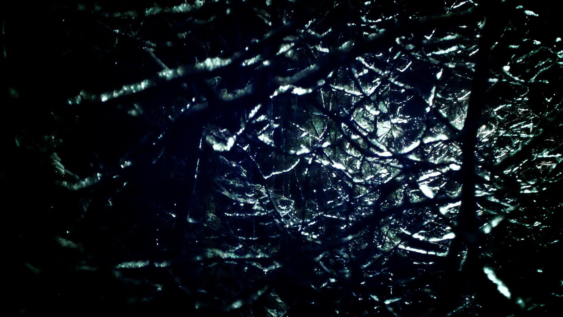 leyu.com-图穆亚的冷静与决策力为袋鼠队攻守转换提供了保障