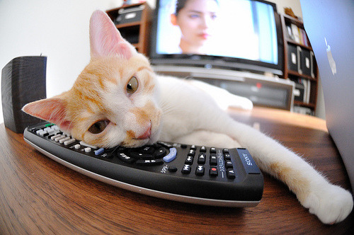 Leyu Sport登录入口-水球淘汰赛波兰表现沉着冷静，水球比赛完整视频